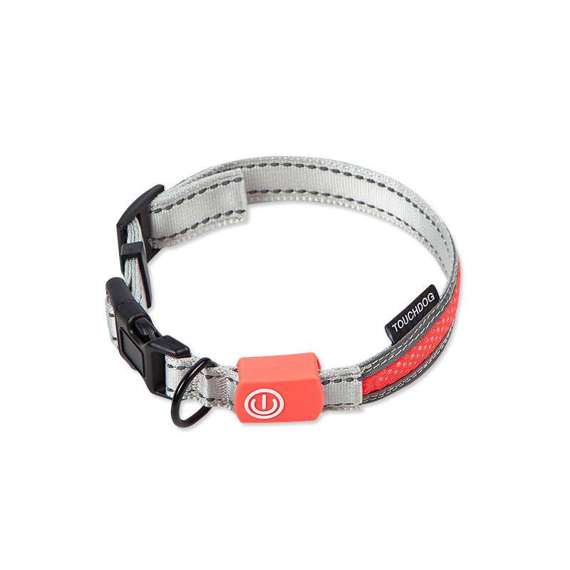 LED Dog Leash