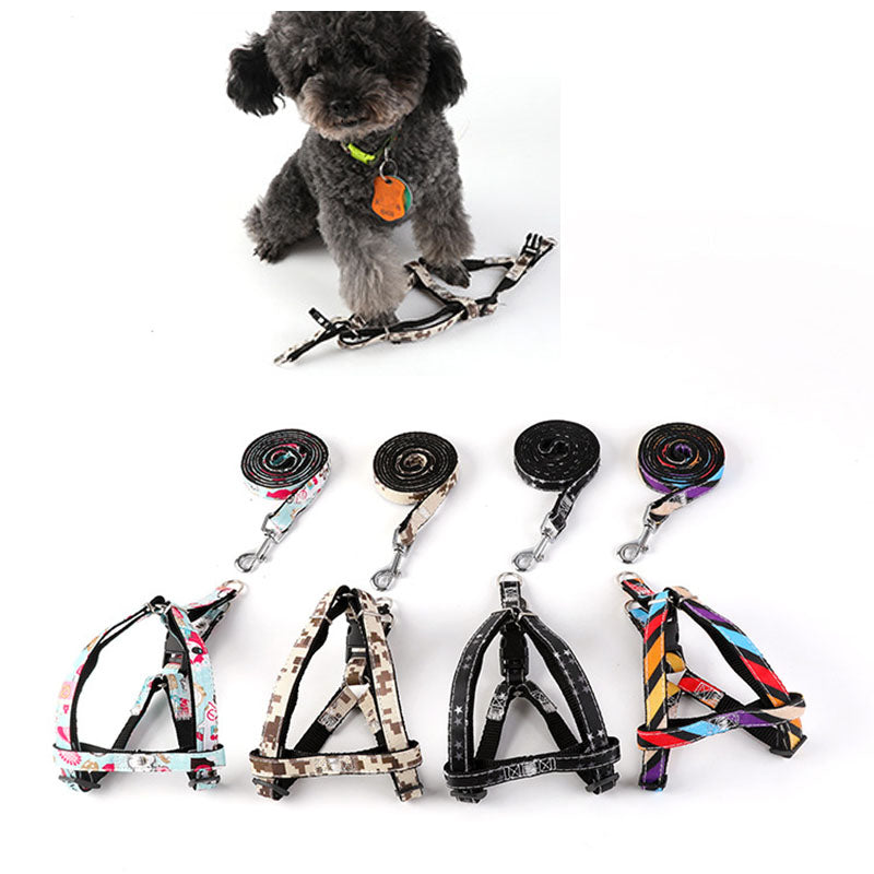 Stylish Dog Harness and Leash