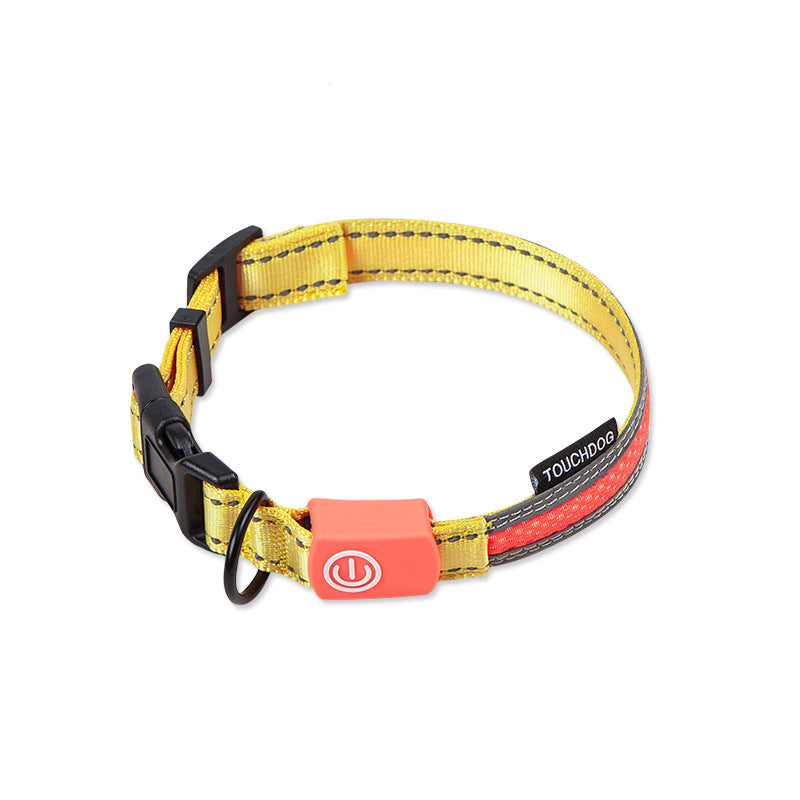 LED Dog Leash