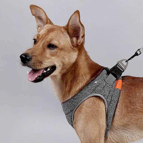 Soft Breathable Dog Harness – Lightweight Vest with Adjustable Straps