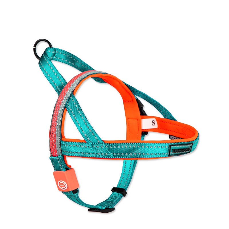 LED Dog Leash