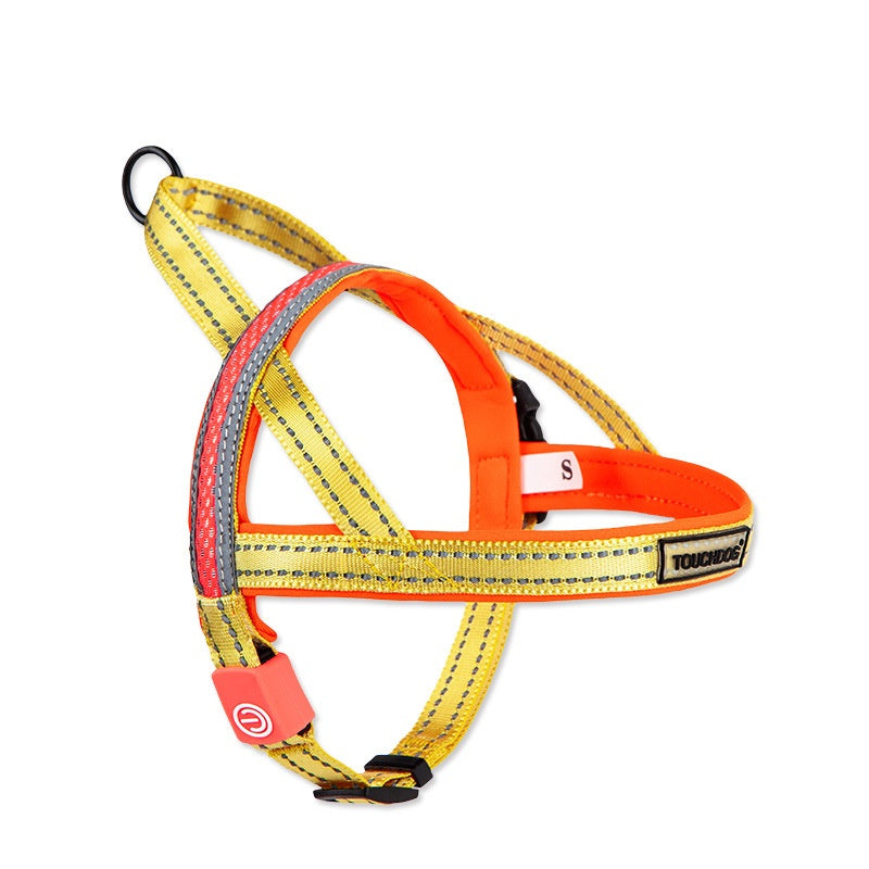 LED Dog Leash