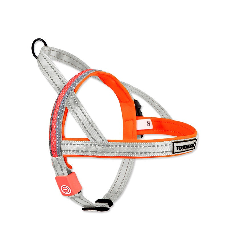 LED Dog Leash