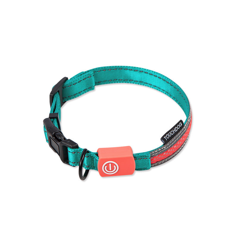 LED Dog Leash