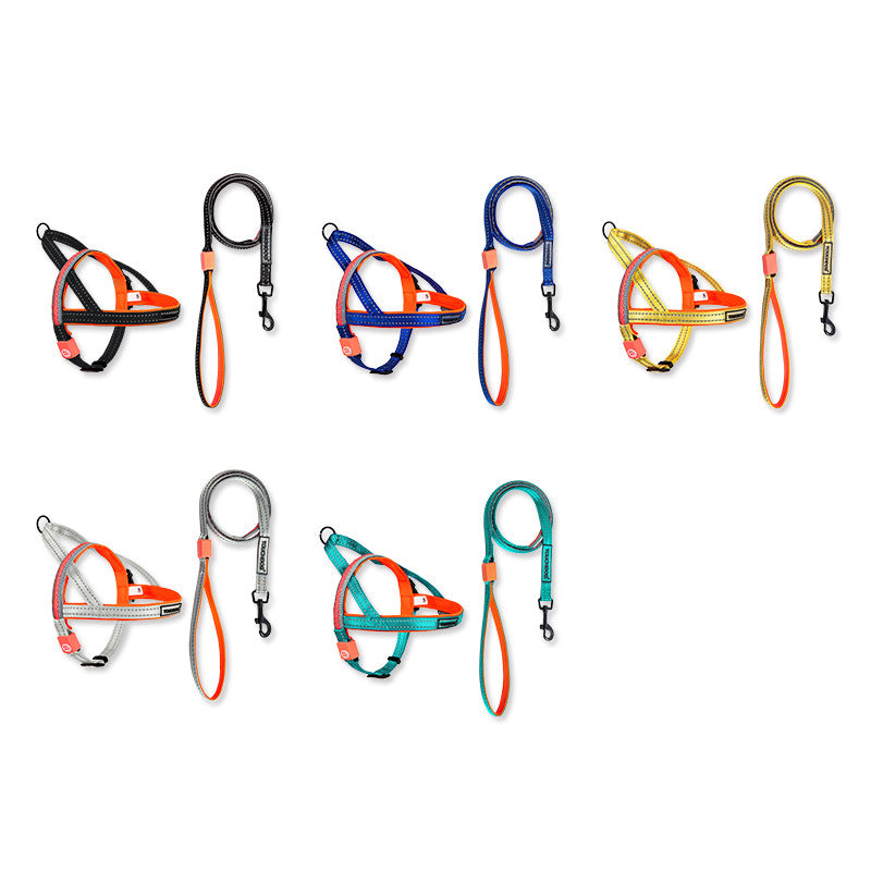 LED Dog Leash