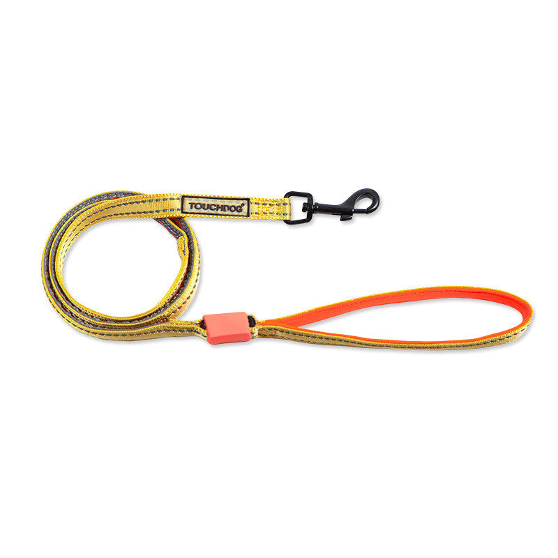 LED Dog Leash