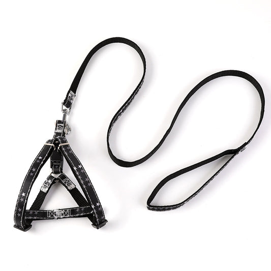 Stylish Dog Harness and Leash